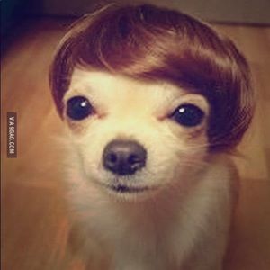 Meet your Posher, Staci